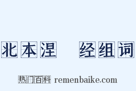 北本涅槃经组词是什么意思的图片